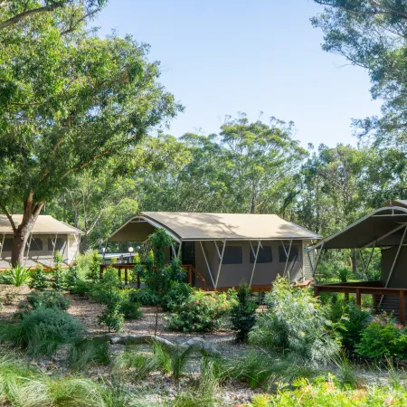 Port Stephens Koala Sanctuary