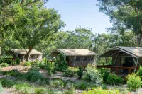 Port Stephens Koala Sanctuary