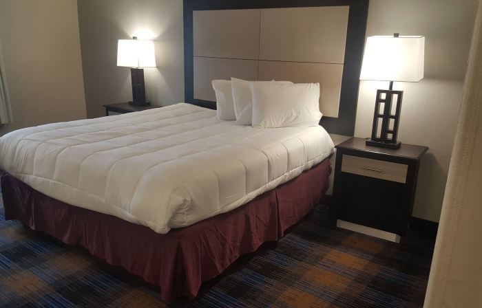 Regency Inn and Suites