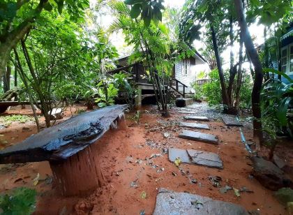 정글 베이 리조트