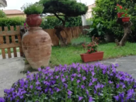 B&B Il Cedro Hotels in Foligno