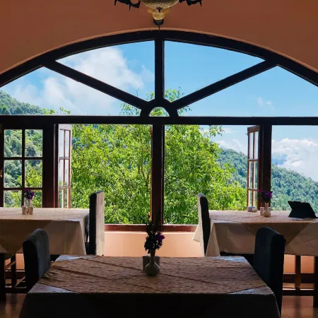 Tree of Life Grand Oak Manor Binsar