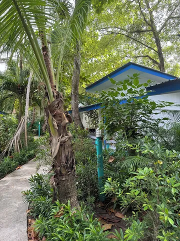 รูปภาพของลันตา ไอส์แลนด์ รีสอร์ท