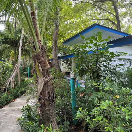 Lanta Island Resort Отели рядом с достопримечательностью «Ban Sala Dan Community School»