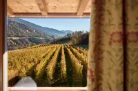 Residence Schiestlhof - Mountain view