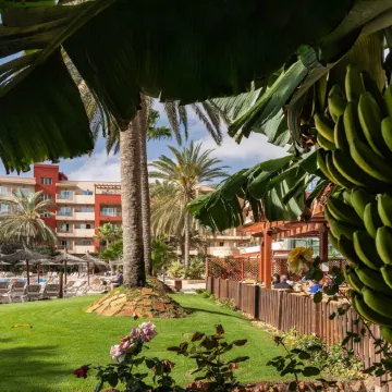 Elba Carlota Beach & Golf Resort