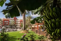 Elba Carlota Beach & Golf Resort Hotels in Caleta de Fuste