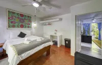 Jungles Edge Hotel, Jiu Jitsu, Muay Thai Retreat Center Hotels in Nosara