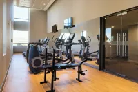 Holiday Inn Express CONCEPCION by IHG - Gym