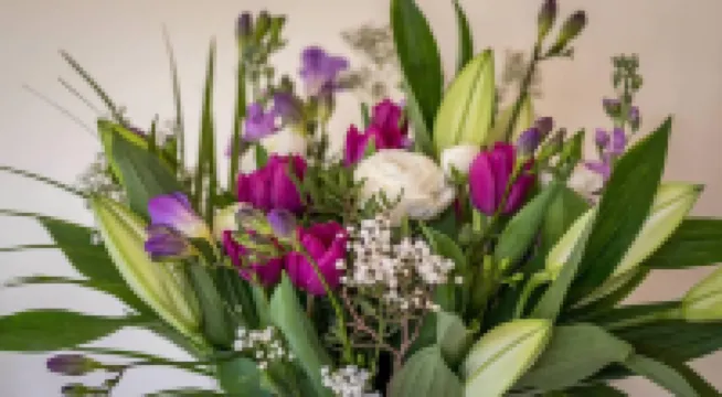 Beck Allans Guesthouse