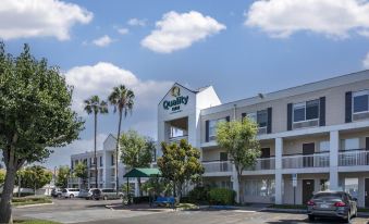 Quality Inn Placentia Anaheim Fullerton