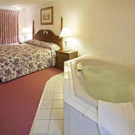 Americas Best Value Inn Lansing