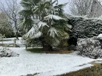 Armidale Cottages Bed & Breakfast Hotels in Workington