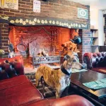 The Jolly Drover - que admiten mascotas