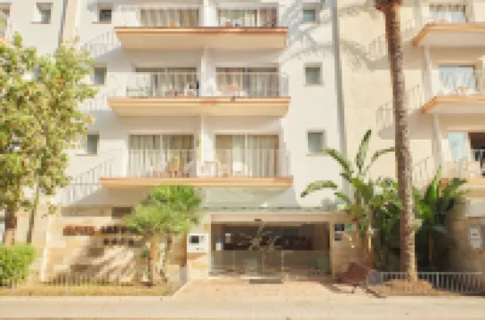 Hotel Dwo les Palmeres Hotel a 