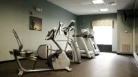 Holiday Inn Express & Suites Cleveland Northwest by IHG - Gym