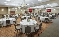 เกรทวูลฟ์ลอดจ์ คองคอร์ด