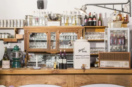 Altes Stadttor Отели в г. Хольних