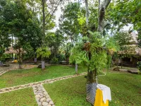 Omunity Bali Hôtels à proximité de : Un tas de cascades