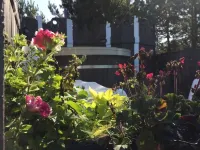 凱莫圖裡茲莫索迪巴傑拉斯鄉村民宿 - Villa