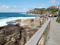 PodBed Coogee Beachside Hotels in Coogee
