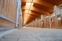 Allgäu Meadow Ranch Hotels in Hergatz