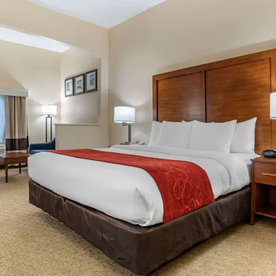 Comfort Suites Airport Hotels near Pier 68 Marina