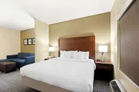 Comfort Inn & Suites High Point - Archdale Hotels in High Point