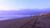 Cosmopolita