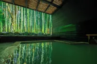 Mount View Hakone - Hot Tub