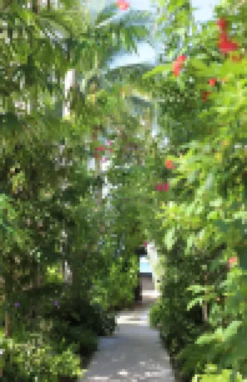 Hampton by Hilton Grand Cayman Seven Mile Beach Hotels near Camana Bay