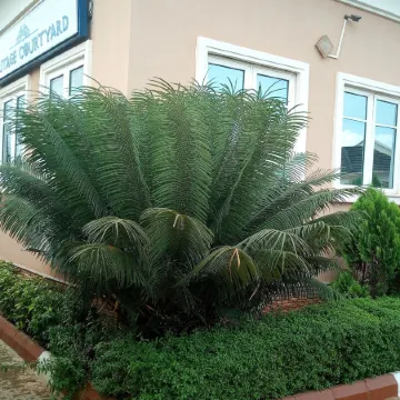 Heritage Courtyard
