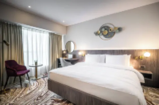 Ramada by Wyndham Bucharest Otopeni Airport