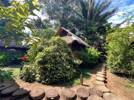 Ecolucerna Lodge Tambopata Отели в г. Тамбопата