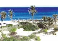 Hotel Djerba Orient - Beach