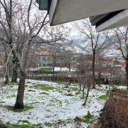 Haidi House