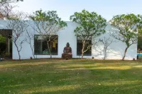 Frangipani in Alibag