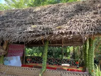 Glowing Mountain View Tree House Hotels in Tanna