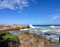 The Olympia Lodge Hotels in Pacific Grove