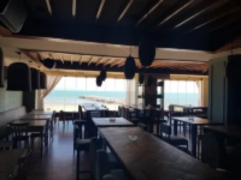 Palm Hotel Hotels in 