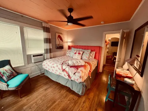 Funky Flamingo - Homestays