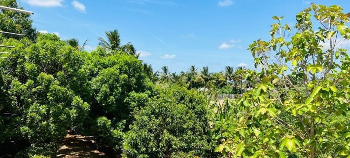 Sea Zone Hotel Nilaveli Các khách sạn ở Trincomalee