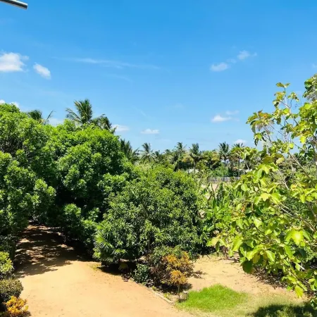 Sea Zone Hotel Nilaveli