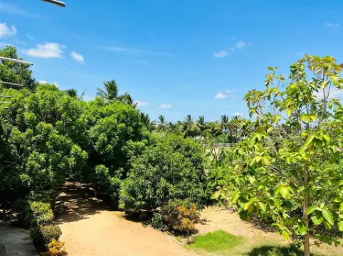 Sea Zone Hotel Nilaveli