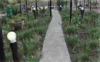 Tshimologo Farm Guest House