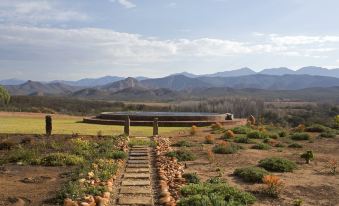 Rietfontein Ostrich Palace