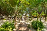 Oceanfront condo with shared pool, sea view, central AC & WiFi - walk to the beach Hotel dekat Placencia Peninsula