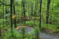 A Humble Abode - - Pet Friendly, Fire Pit, Deck, Grill, Wood Stove, Games, Wifi, 6 Acres