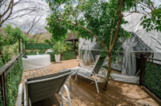 Glamping Tortuga Verde