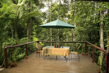 Tropical Bliss Bed and Breakfast